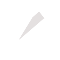 东莞临时保镖服务